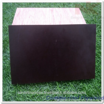 12mm Acacia Film Faced Plywood From NK VIETNAM